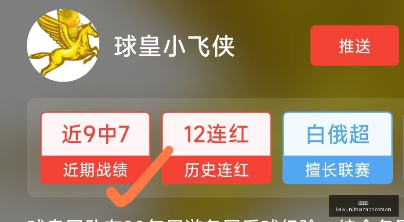 最新,印尼球迷打,造巨型,开云集团,品牌资讯平台,企业发展资讯,集团动态信息,企业资讯